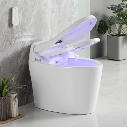 2208B智能马桶 商品图1