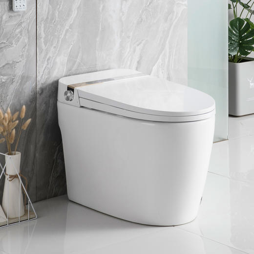 2061E语音智能连体坐便器 商品图1