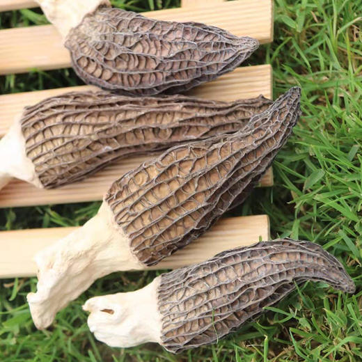 羊肚菌干货云南特产羊肚菇羊肚菌菇包干羊肚蘑菌类煲汤料 商品图2