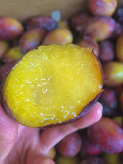 美国大西梅西梅像一位高贵的女神紫衣薄纱清香袭人关键是人家明明靠