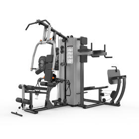 SH-G5205 综合训练器四人站