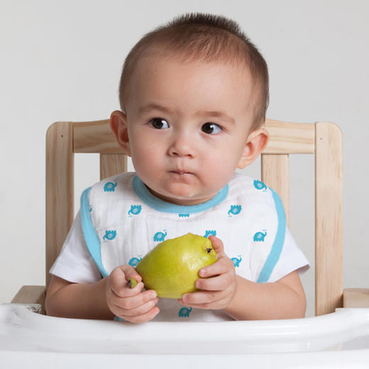 伯斯马丁【A类标准】口水巾6片 商品图2