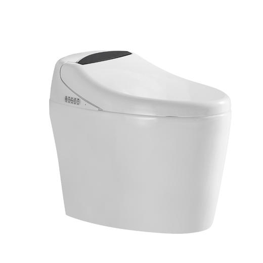 2208B智能马桶 商品图3