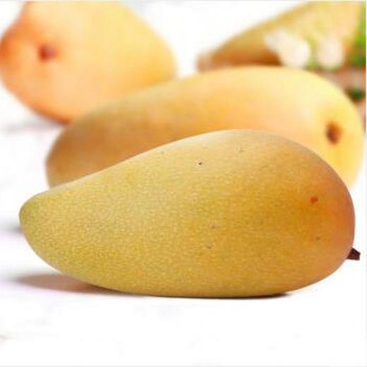 海南金煌芒大果天地盖礼盒装5-8斤  新鲜水果 商品图2