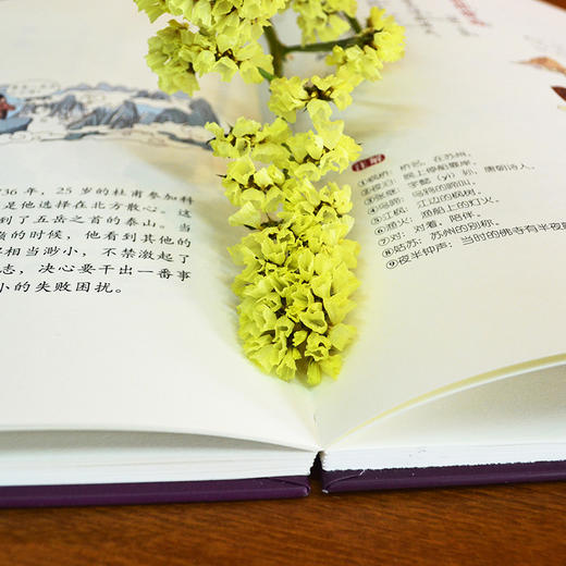  千家诗+声律启蒙 商品图3