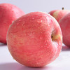 佳沃 山东富士5斤装（约15粒）    新鲜当季水果整箱包邮 商品缩略图1