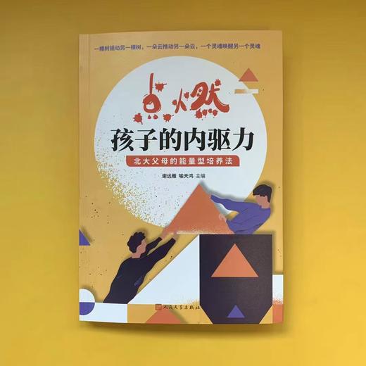 点燃孩子的内驱力 北大父母的能量型培养法 20位北大父母分享30多个孩子成长个案成长不焦虑正面管教好妈妈家庭教育畅销书籍3000895 商品图1