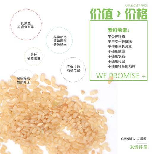 【新米】有机糙米2斤真空装鲜活胚芽米饱腹有嚼劲粗纤维东北糙米 商品图2