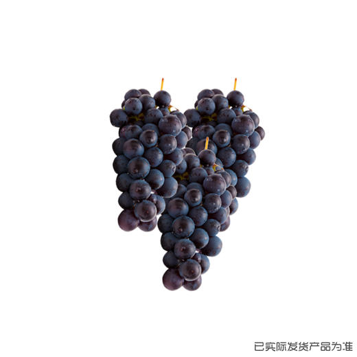 认养三棵葡萄树（5年） 商品图5