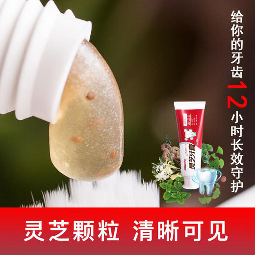 用灵芝刷牙灵芝牙膏&口喷中科集团灵芝颗粒清晰可见告别黄牙幽螺莎星摆脱口腔溃疡、牙龈肿痛 商品图0