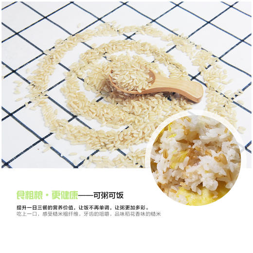 【新米】有机糙米2斤真空装鲜活胚芽米饱腹有嚼劲粗纤维东北糙米 商品图3