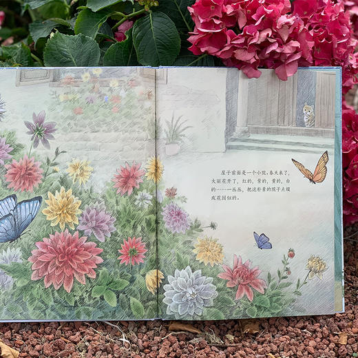 外婆家的小屋 亲子共读的中国风绘本大师名作收入小学语文课本自然田园之隽永真挚温暖亲情生命中国风生命绘本图画书畅销书3000897 商品图4