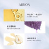 日本 ALBION澳尔滨 清新晶透美白晚安粉 散粉 18g 商品缩略图2