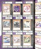 【中商原版】游戏王 OCG DM 官方图录EX 日文原版 遊戯王 OCG デュエルモンスターズ 公式カードカタログ ザヴァリュアブルブック EX 商品缩略图7