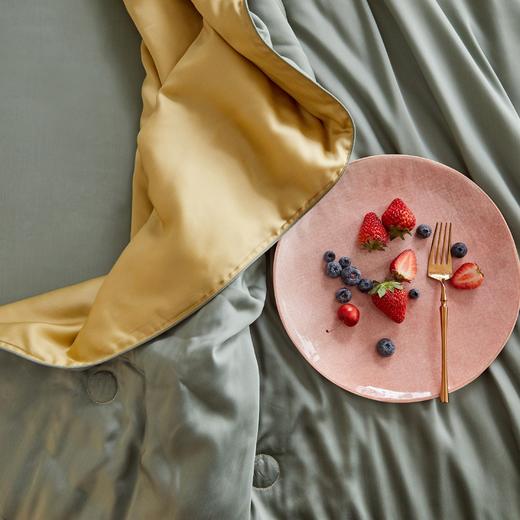 【已下架】百思寒60s天丝夏被200*230cm  触感柔软丝滑 [福利品] 商品图5