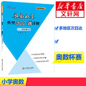 奥数杯赛典型300题详解