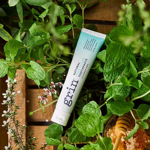 grin 成人/大童 天然牙膏 护龈小苏打含氟 薄荷清新 商品图0