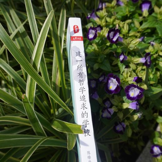 建一所有哲学追求的学校 大夏书系 陈燎原校长多年办学教学经验完整呈现 学校领导力 教育主张 教学追求 商品图2