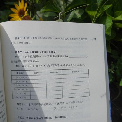 教案的革命2.0 普通高中大单元学历案设计 破解深度教学内在逻辑 商品图3