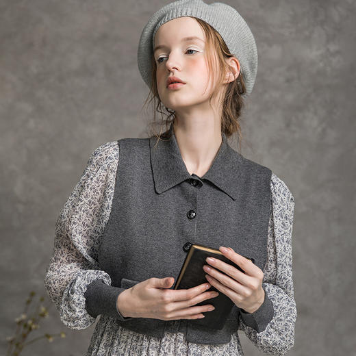 famecoco范可儿印花连衣裙秋季两件套复古马甲长裙F216EA005 商品图3