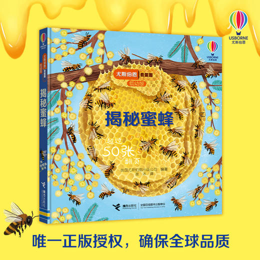尤斯伯恩看里面（低幼版）揭秘蜜蜂 商品图4