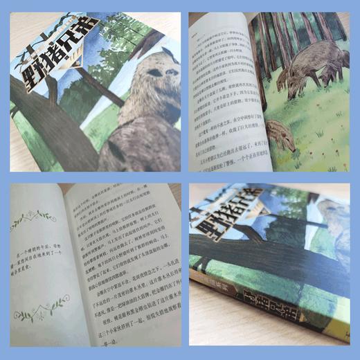 野猪兄弟 商品图1