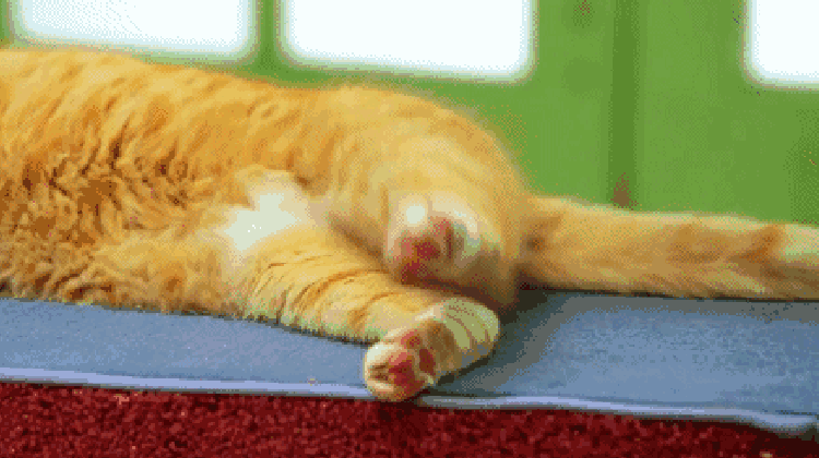 夏天睡觉时突然腿抽筋，这是缺钙吗?