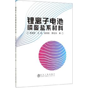 锂离子电池磷酸盐系材料/常龙娇,王闯,姚传刚,罗绍华
