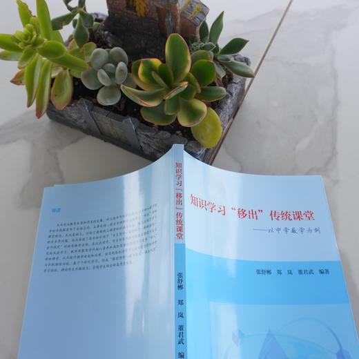 知识学习移出传统课堂 以中学数学为例 课堂教学研究 知识点梳理结构化 微视频制作习题库编制线上学习 商品图2