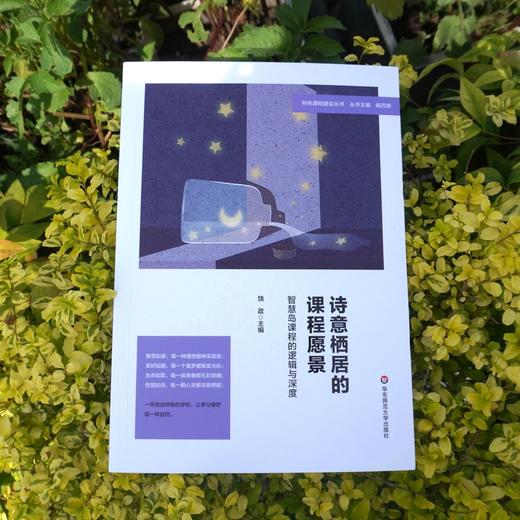 诗意栖居的课程愿景 智慧岛课程的逻辑与深度 特色课程建设丛书 杨四耕主编 小学课程建设 教学研究 商品图1