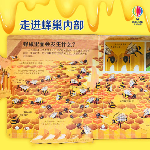尤斯伯恩看里面（低幼版）揭秘蜜蜂 商品图3