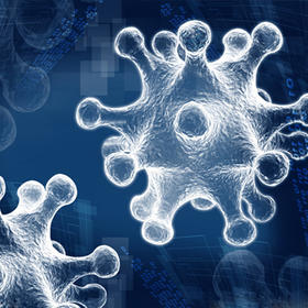 让休止毛囊活过来！