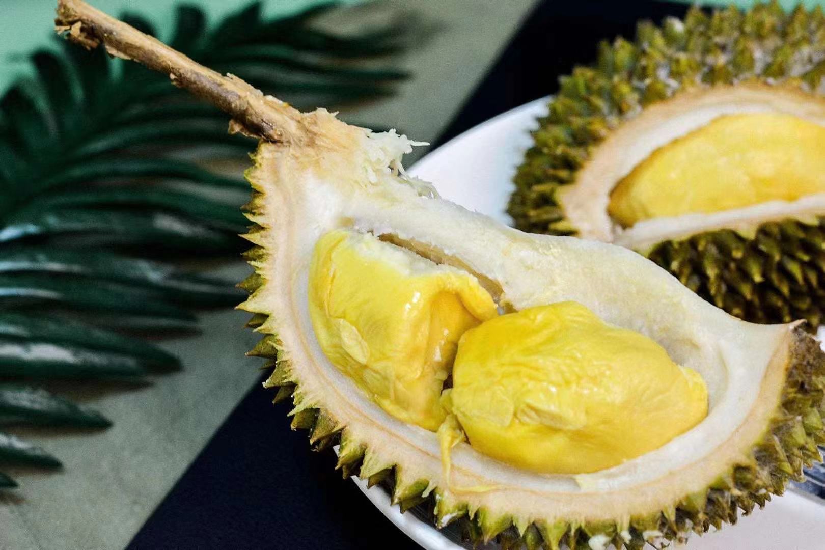 马来西亚d13金包榴莲液氮带壳口感几乎和大黑刺一样