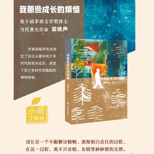我那些成长的烦恼（梁晓声 著） 商品图1