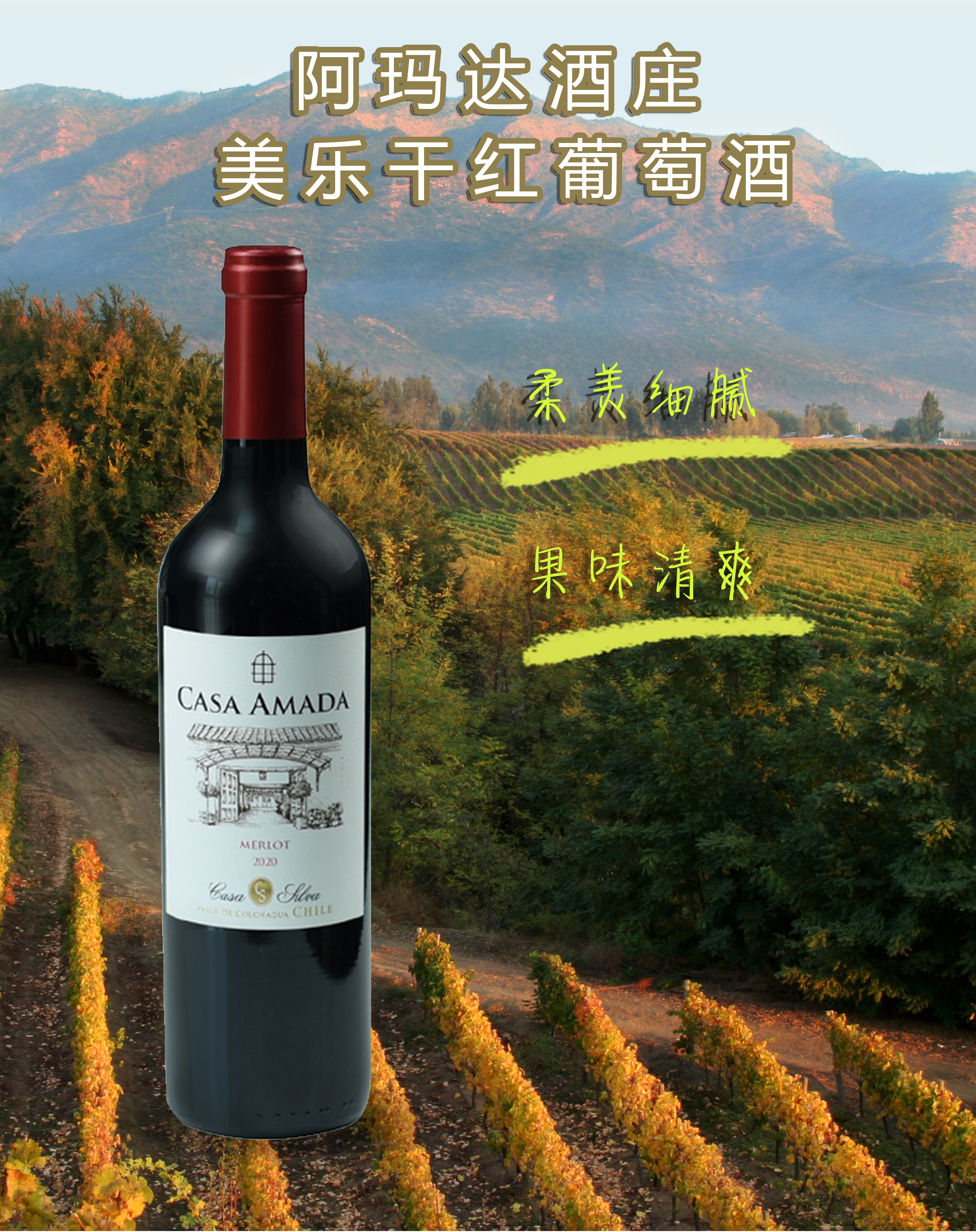 买一赠一casaamadamerlot阿玛达酒庄美乐干红葡萄酒