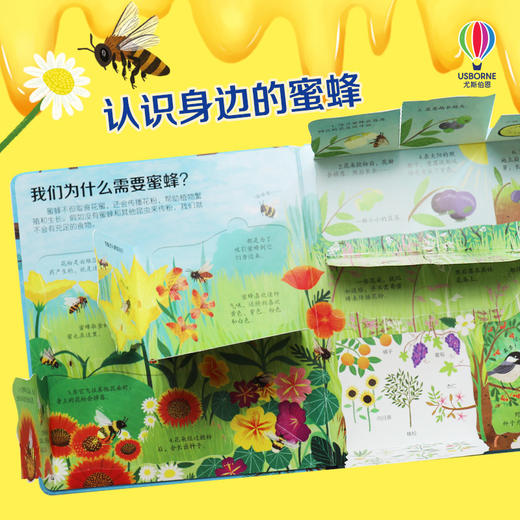 尤斯伯恩看里面（低幼版）揭秘蜜蜂 商品图1