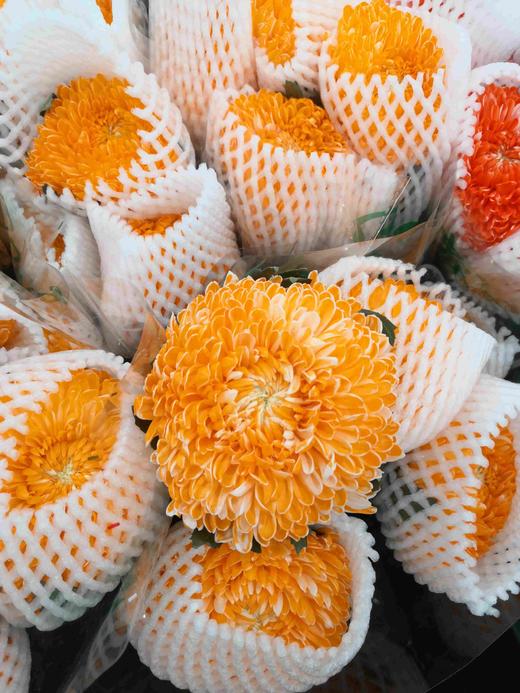 配花-牡丹菊-5枝 商品图7