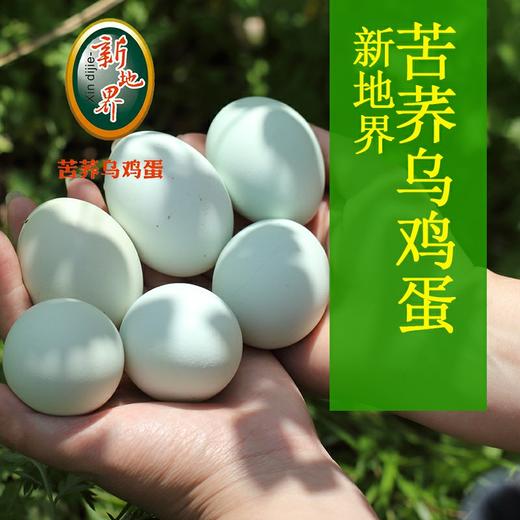 【黔江帮扶产品】绿壳乌鸡蛋  20枚/40枚 商品图0