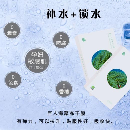 绿巨人海藻冻干膜  【医用面膜 便于携带】7片/盒 商品图2