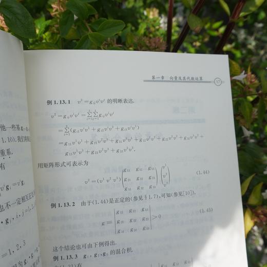 从空间曲线到高斯-博内定理 高等数学启蒙小丛书 冯承天 数学研究 商品图3