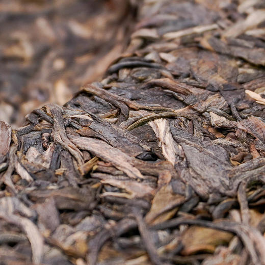 高黎贡山普洱茶生茶迷滇云南特产普洱茶茶叶357克古树茶