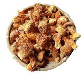 【黔江帮扶产品】干松茸  250g