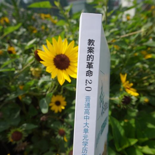 教案的革命2.0 普通高中大单元学历案设计 破解深度教学内在逻辑 商品图2