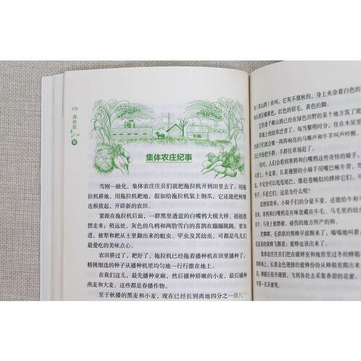 森林报 畅读版(全4册) 商品图2