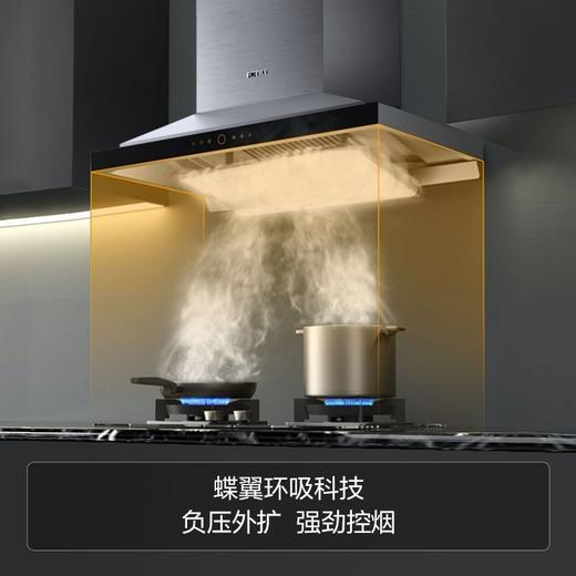 方太22立方大风量EM72TB蝶翼环吸 欧式抽油烟机 商品图1