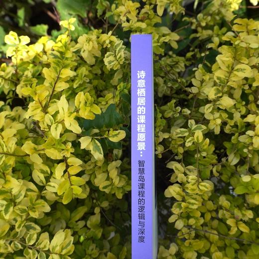 诗意栖居的课程愿景 智慧岛课程的逻辑与深度 特色课程建设丛书 杨四耕主编 小学课程建设 教学研究 商品图2