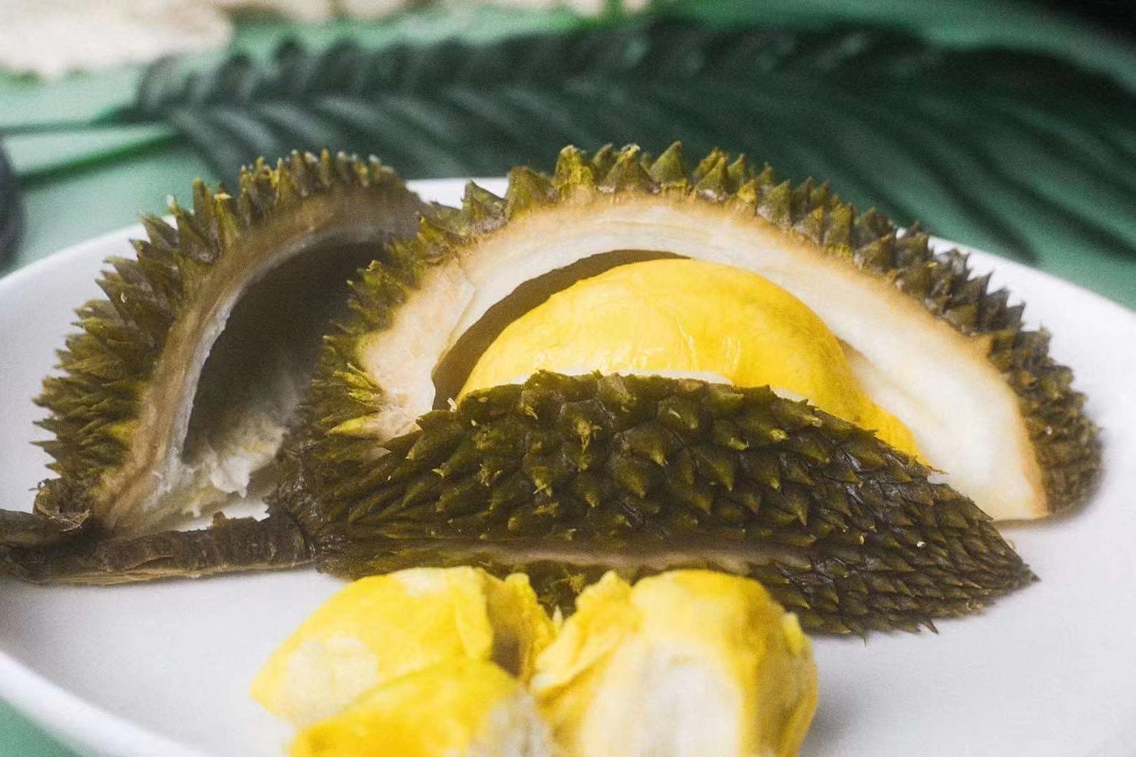 马来西亚d13金包榴莲液氮带壳口感几乎和大黑刺一样