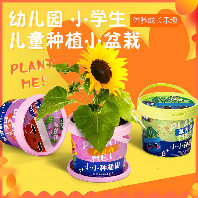 Diy植物种植 小园丁的diy自种套餐儿童种植小盆栽 迷你开心农场 自然观察植物罐头儿童玩具