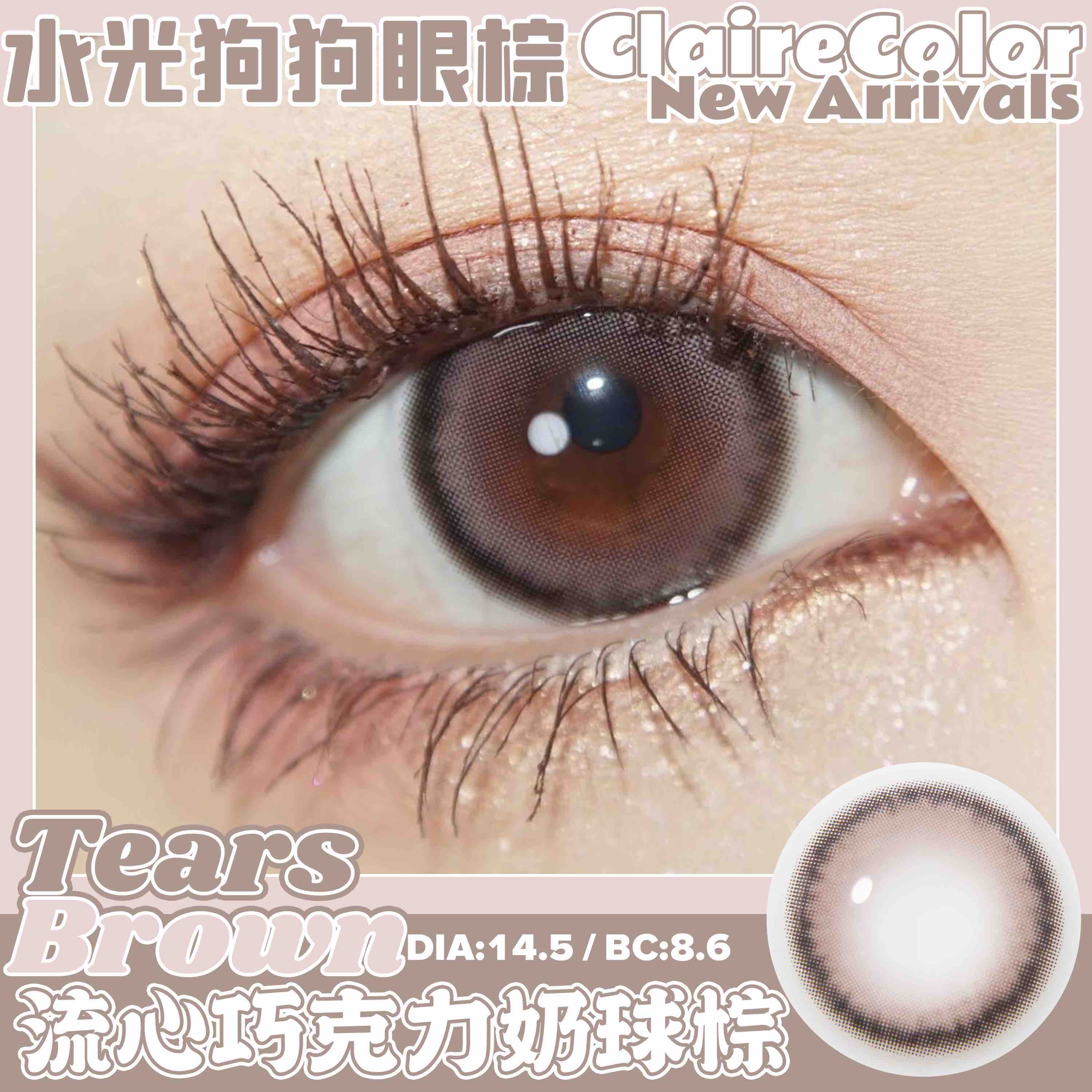 Claire Tears 水光狗狗眼棕