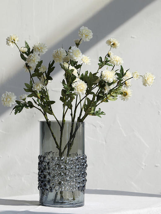 碧轩吕林霞创意点点直筒玻璃花瓶插花花器软装工艺品摆件设计新款 商品图2